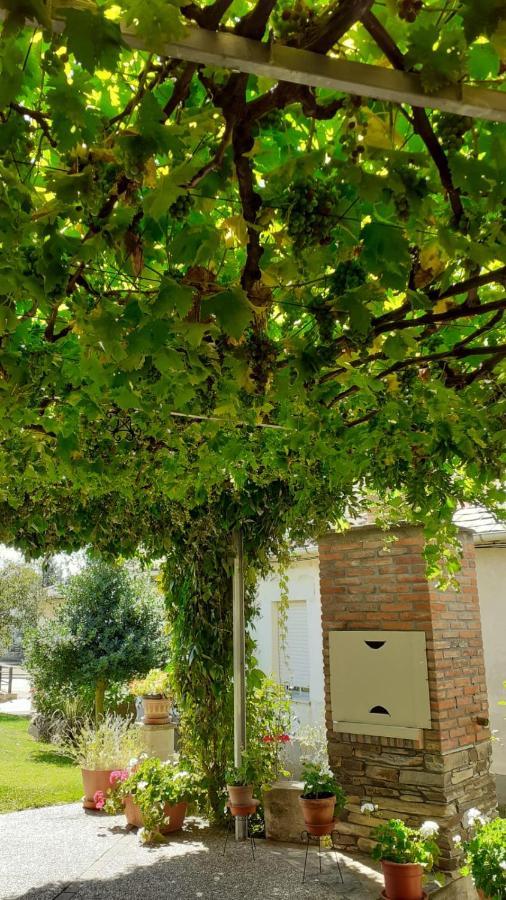 Villa El Maragato à Castrillo de Cepeda Extérieur photo